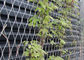 X上昇の植物のためのステンレス鋼ケーブルの網の金網の植物の格子垣をであって下さい サプライヤー