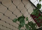X上昇の植物のためのステンレス鋼ケーブルの網の金網の植物の格子垣をであって下さい サプライヤー